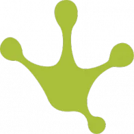 Logo van SEO-bureau Little Coconuts