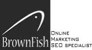 Logo van SEO-bureau BrownFish Online Marketing | SEO specialist