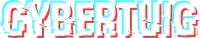 Logo van SEO-bureau Cybertuig