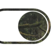 Logo van SEO-bureau OLYLO