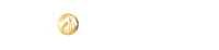 Logo van SEO-bureau Raion design