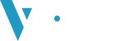 Logo van SEO-bureau V-Web Internet Solutions